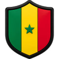 Pin's drapeau Sénégal pour sabots — Pins & Co